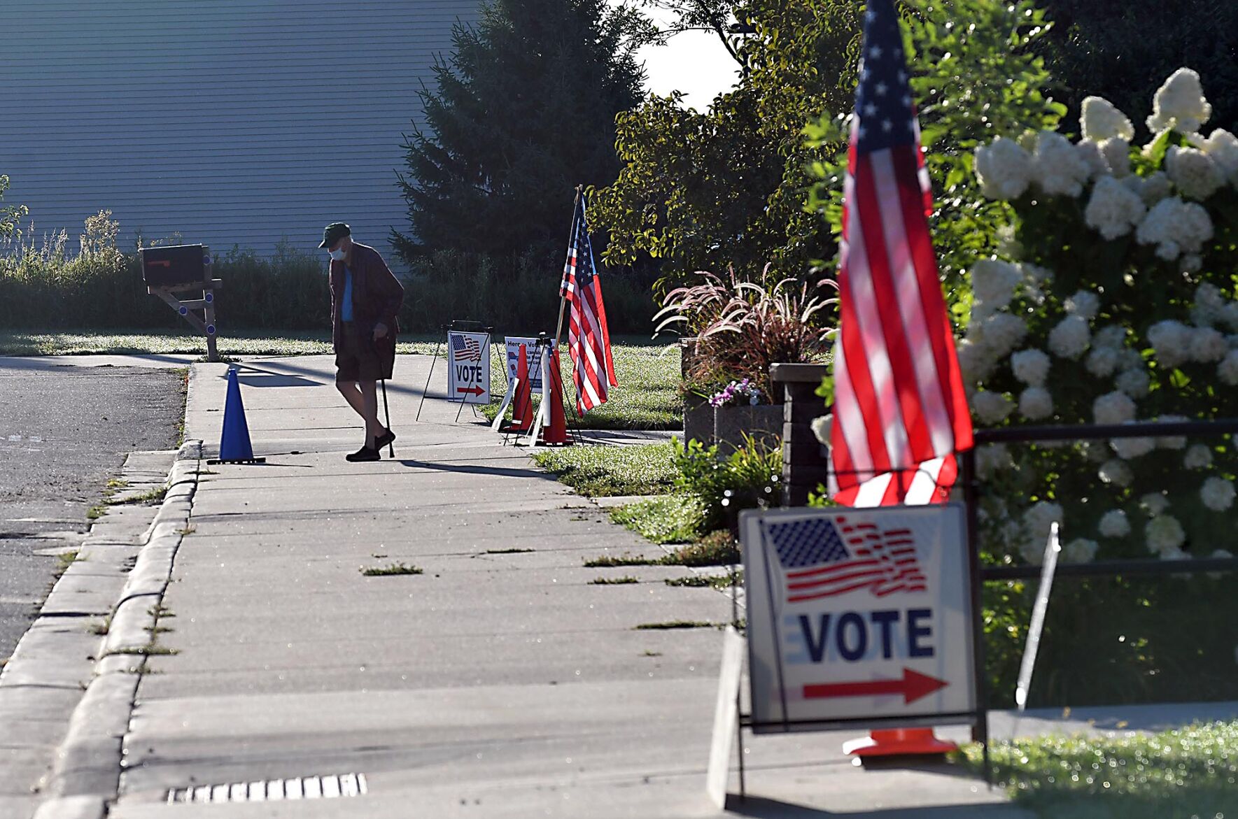 Primary voting 4